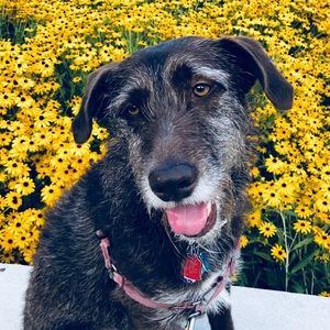 Meet your Posher, Kirsten